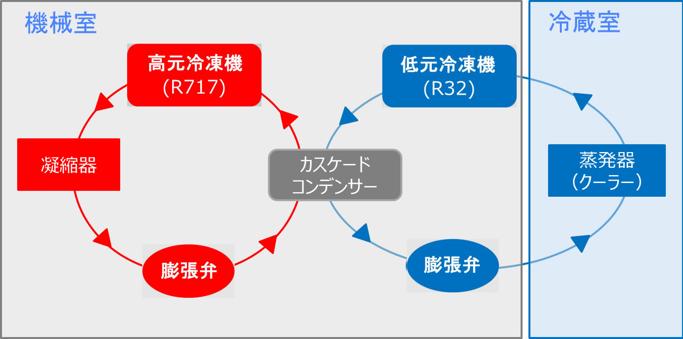 ＣＡＲＵＳ概要