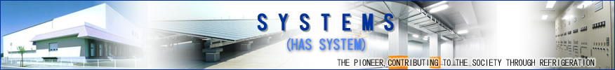 SYSTEMS(HAS SYSTEM)